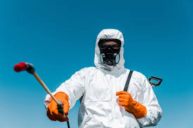 Best Pest Prevention Services  in Ironton, OH